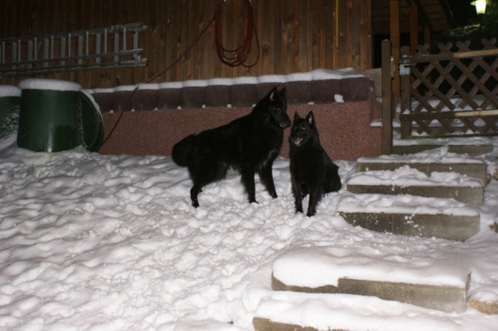 Haisha und Asco Winter 2010-2011