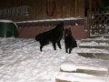 Haisha und Asco Winter 2010-2011